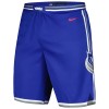NBA Mænd Sacramento Kings Shorts 2023-24 Nike City Edition Blå Swingman